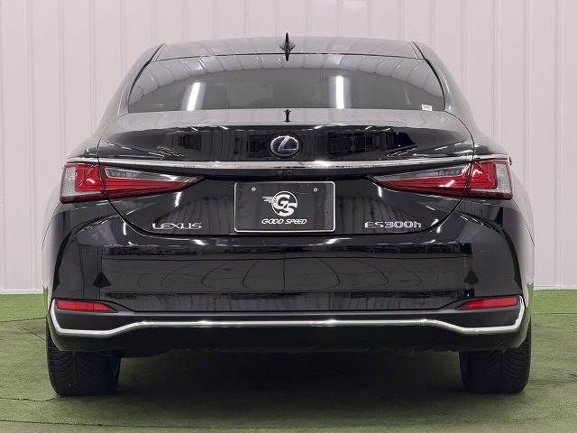 LEXUS ES300h