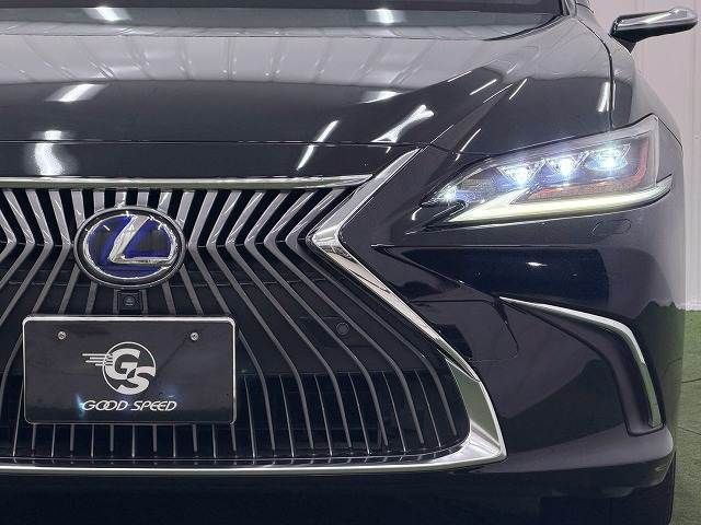 LEXUS ES300h