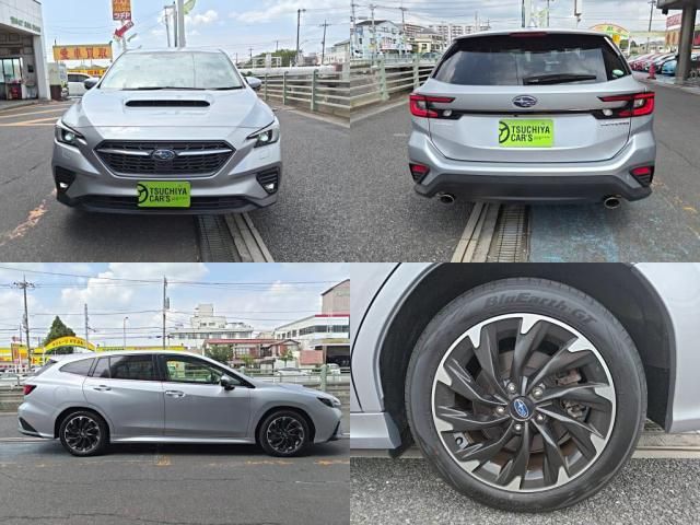 LEVORG