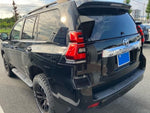 LANDCRUISER PRADO