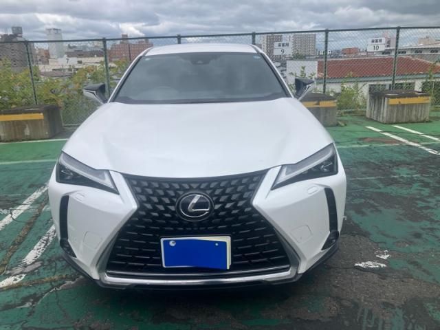 LEXUS UX250h