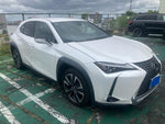 LEXUS UX250h