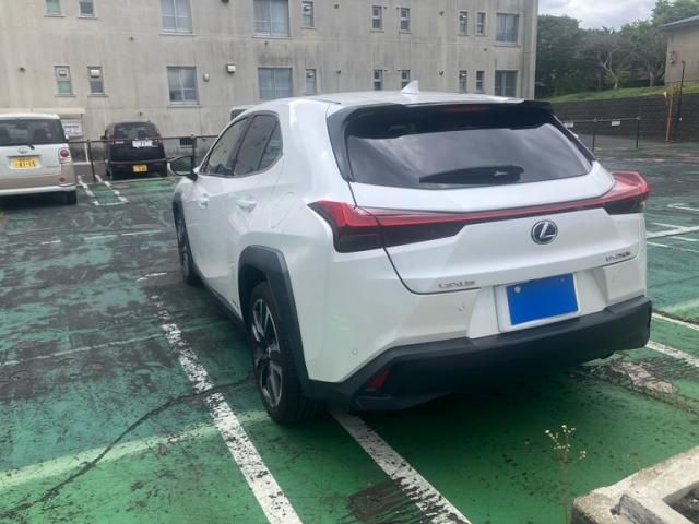 LEXUS UX250h