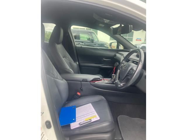LEXUS UX250h