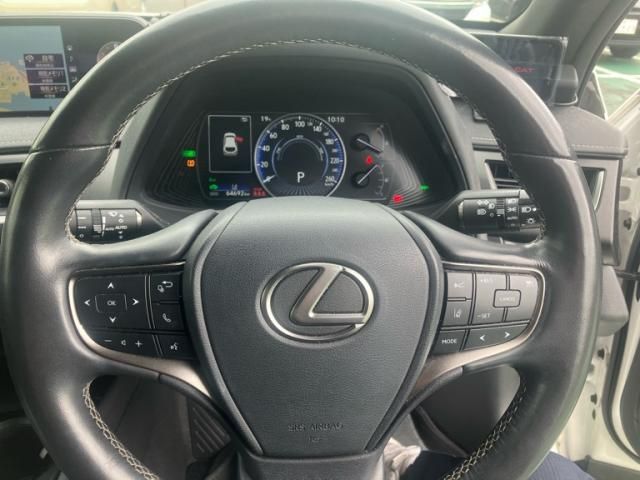 LEXUS UX250h