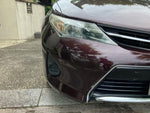 AURIS