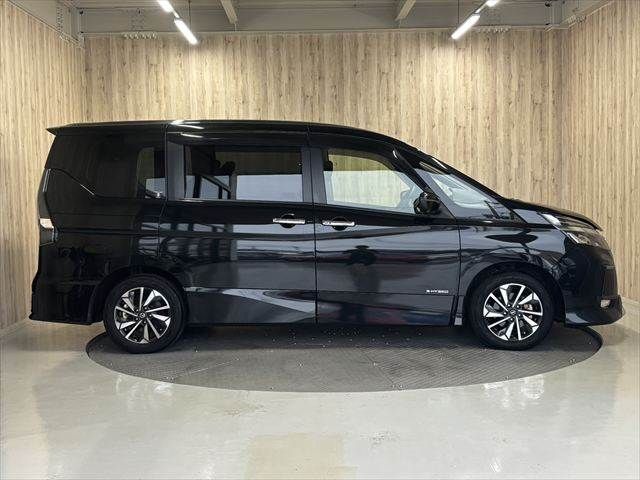 SERENA  S-HYBRID