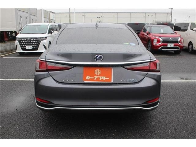 LEXUS ES300h