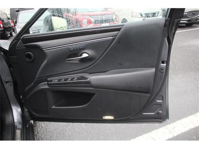LEXUS ES300h