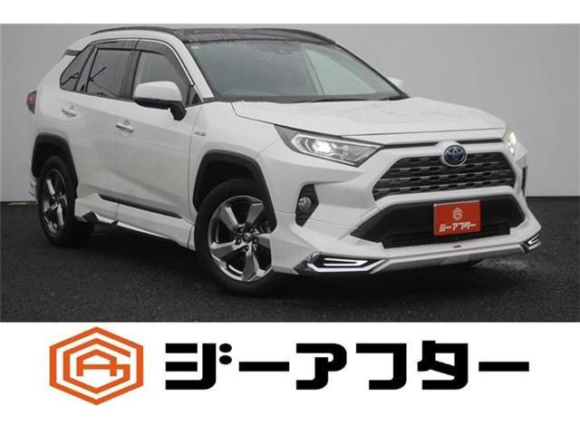 RAV4 HYBRID 4WD