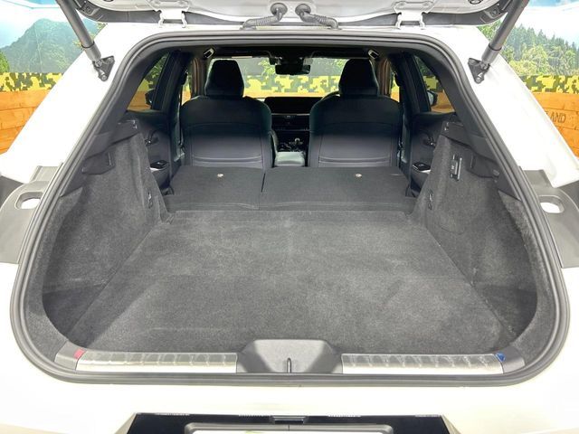 CROWN SPORT