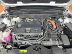 CROWN SPORT
