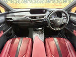 LEXUS UX250h