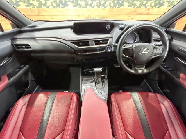 LEXUS UX250h