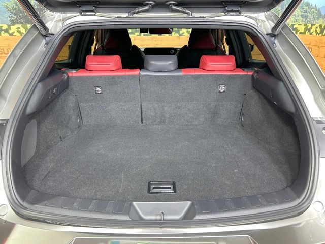 LEXUS UX250h