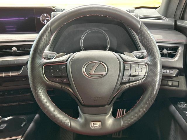 LEXUS UX250h