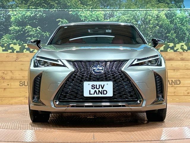 LEXUS UX250h