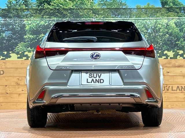 LEXUS UX250h
