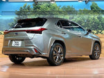 LEXUS UX250h