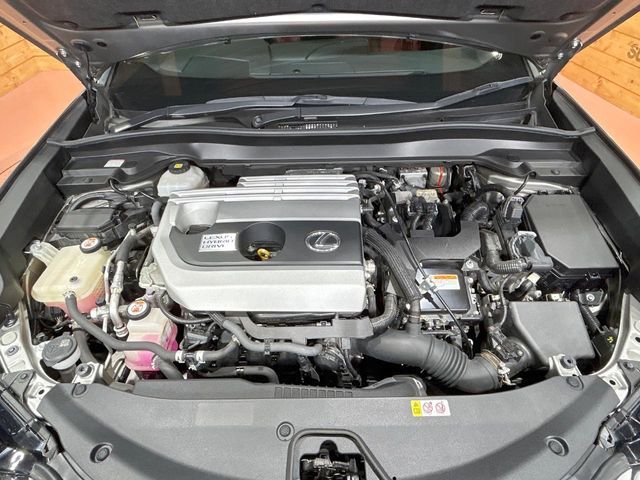 LEXUS UX250h