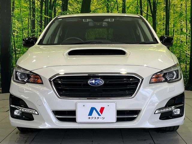 LEVORG