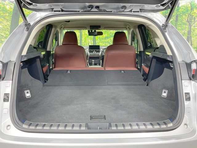 LEXUS NX300h AWD
