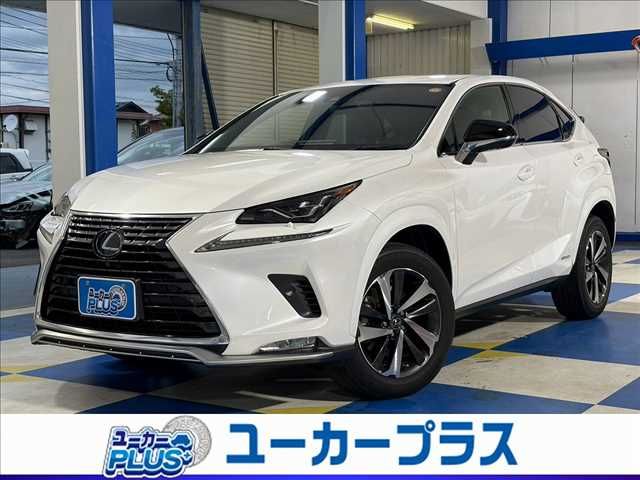 LEXUS NX300h