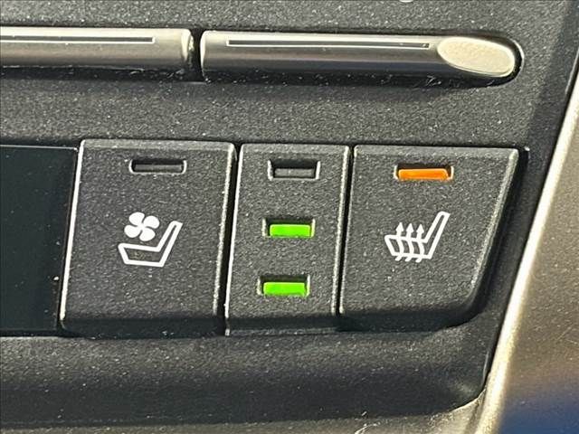 LEXUS NX300h