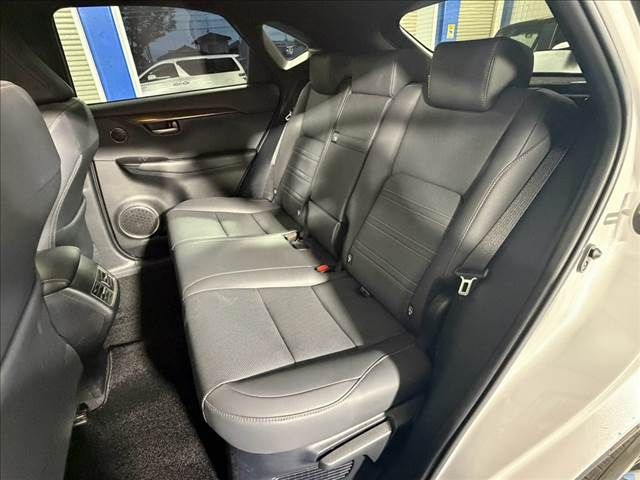 LEXUS NX300h