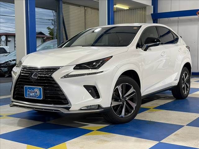 LEXUS NX300h