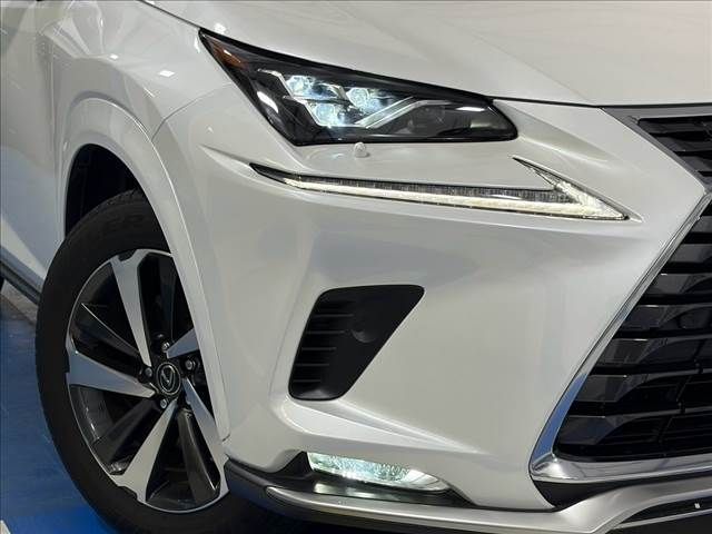 LEXUS NX300h
