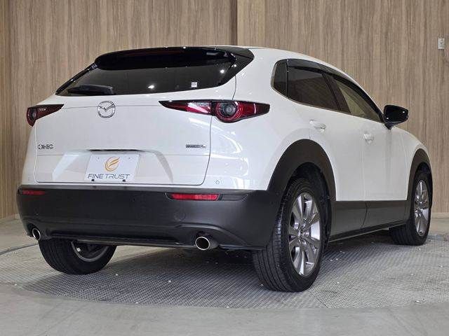 CX-30