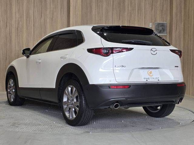 CX-30