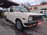 SUNNY truck