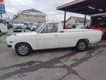 SUNNY truck