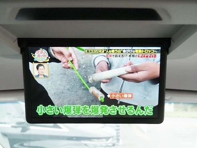 ALPHARD hybrid 4WD