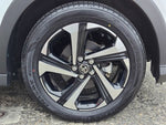 RAIZE HYBRID