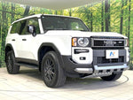 LANDCRUISER 250