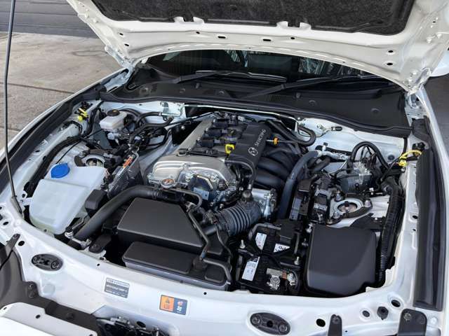 ROADSTER RF