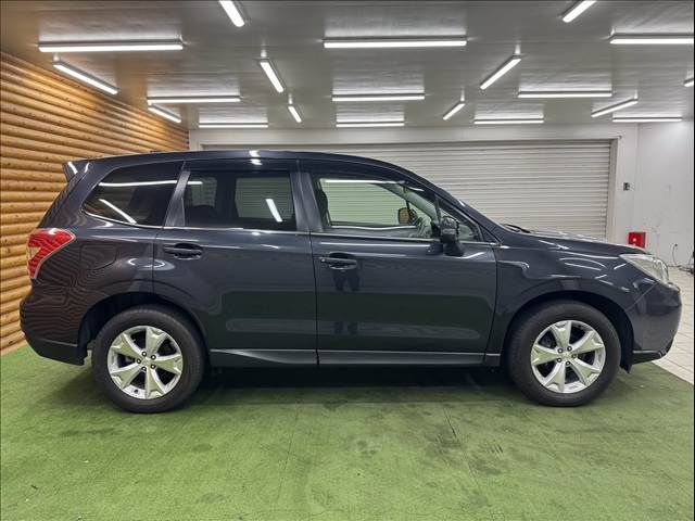 FORESTER