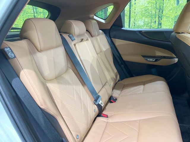 LEXUS NX350h