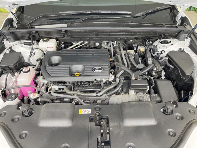 LEXUS NX350h
