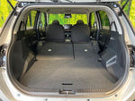 RAIZE HYBRID