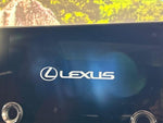 LEXUS NX350h