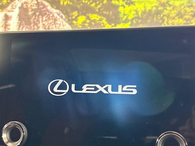 LEXUS NX350h
