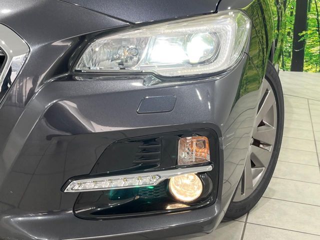 LEVORG