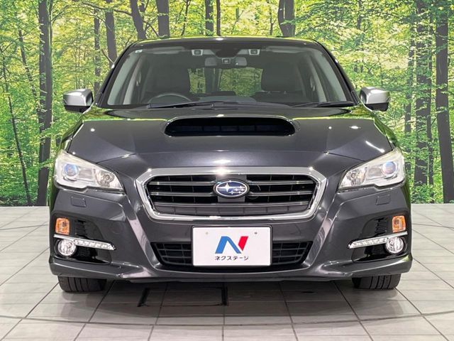 LEVORG