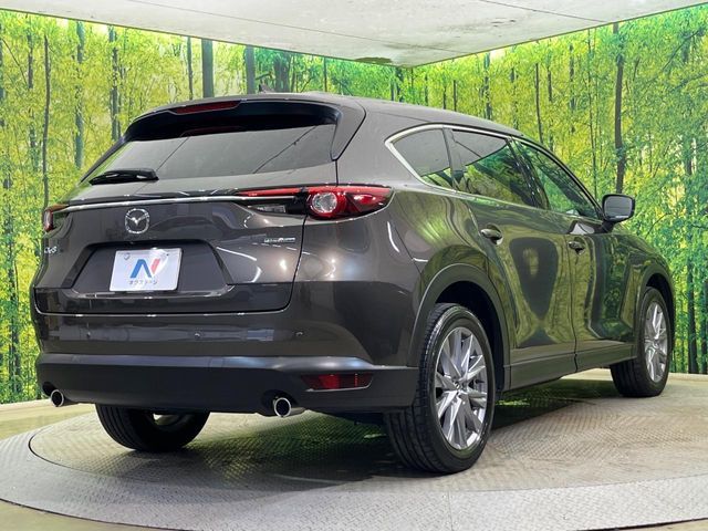 CX-8