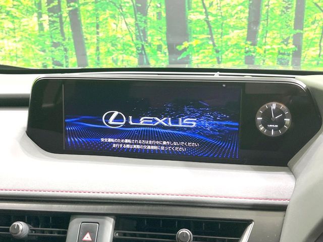 LEXUS UX250h