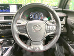LEXUS UX250h